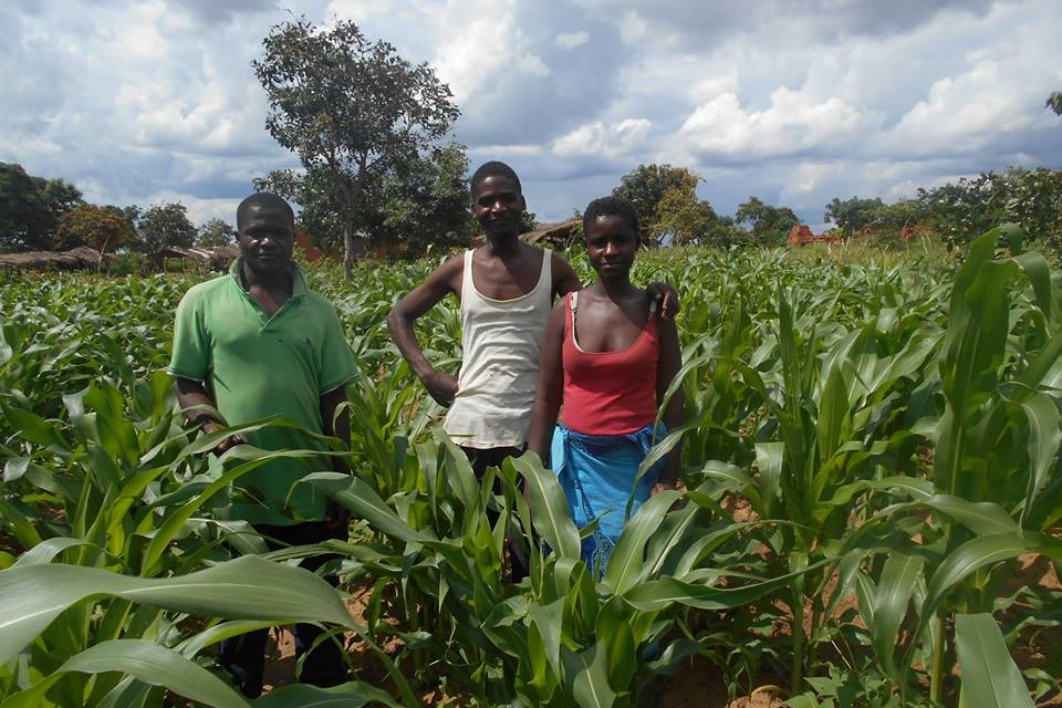 Irish Jesuits International - our work with Sustainable and Resilient Communities