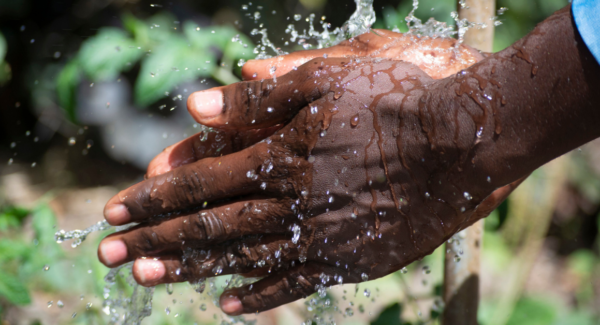 hands being washed under a stream of water