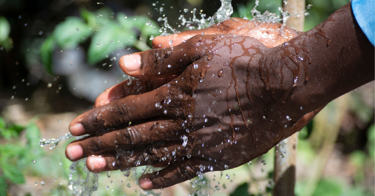 hands being washed under a stream of water