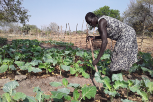 women farmer digging crops