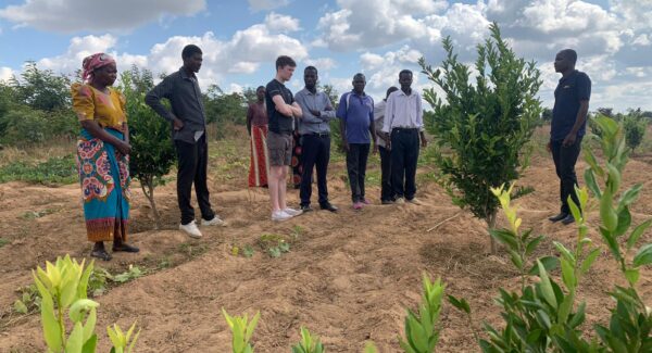 volunteer sam in field of fruit trees listening to farmers