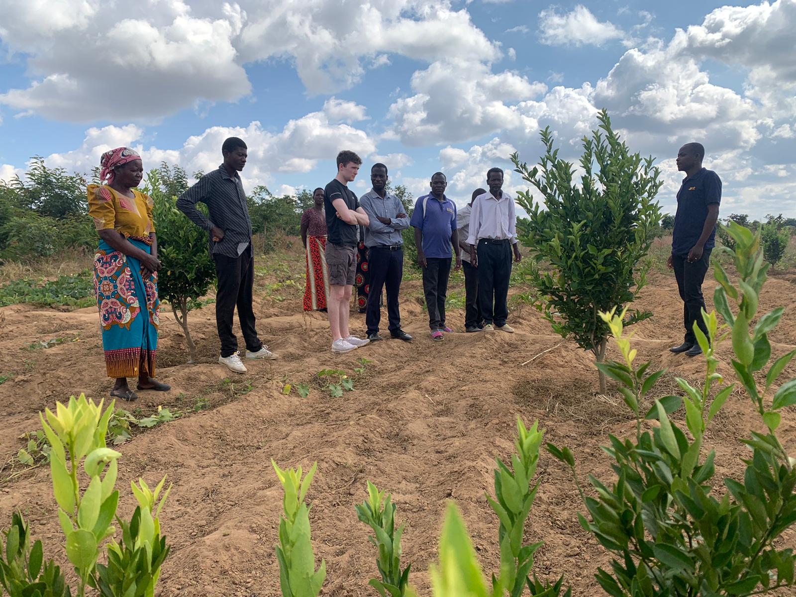 volunteer sam in field of fruit trees listening to farmers