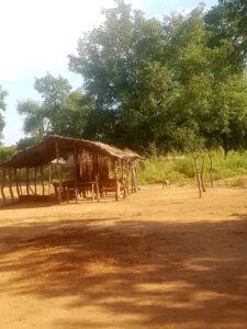 school hunt with grass roof