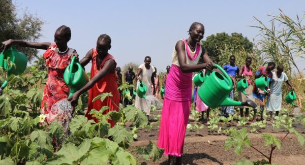 women water crops in a field. they wear brightly coloured dresses.