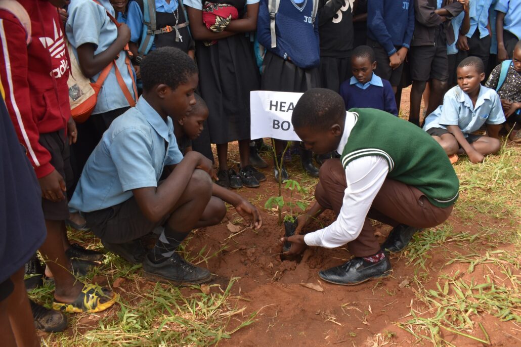 Students plant trees around school grounds.