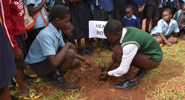 children in their school uniforms plant trees in Malawi