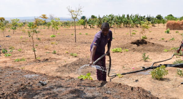 Happy, an eco-lead farmer waters his crops