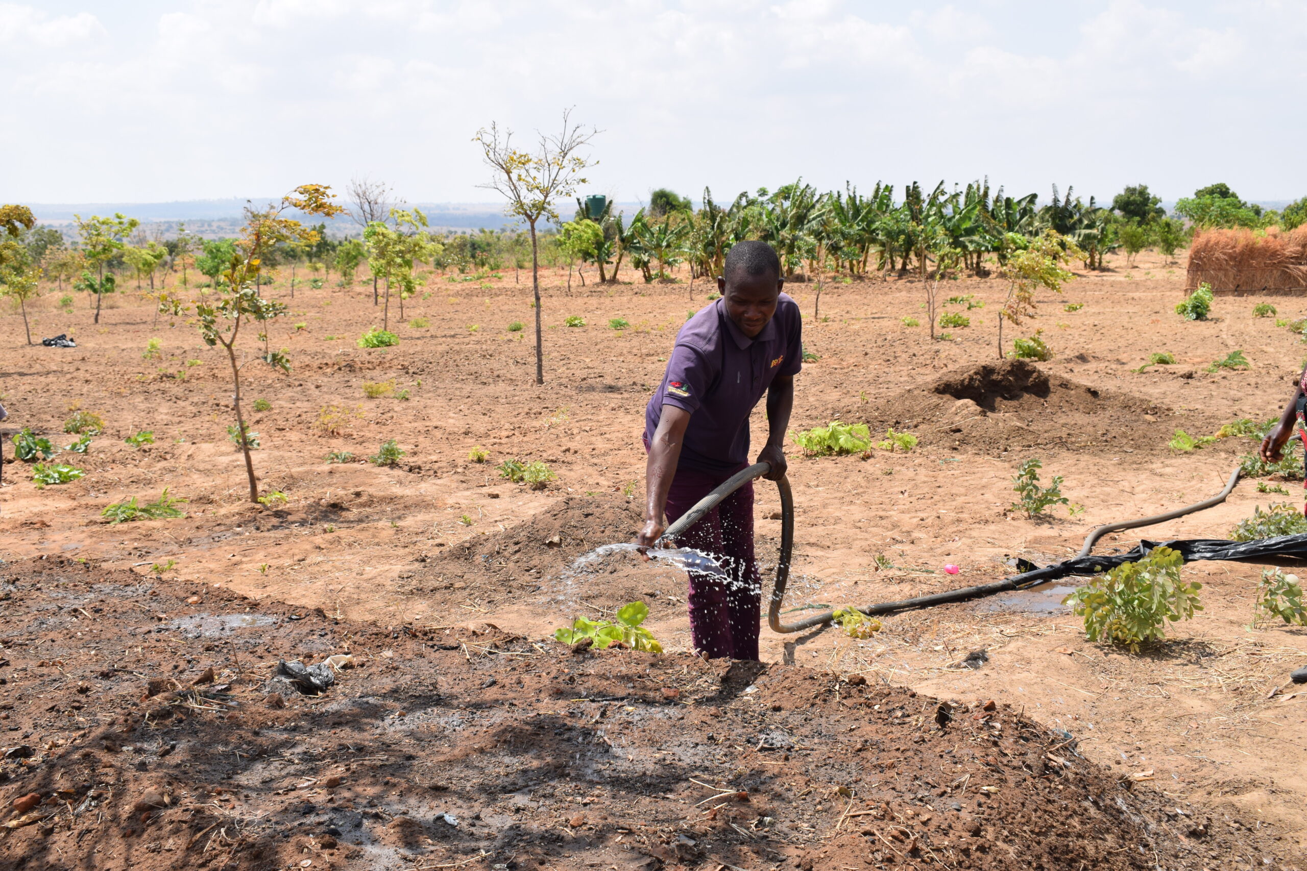 Happy, an eco-lead farmer waters his crops