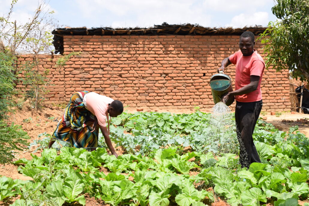 farmers putting climate smart agriculture to practice.