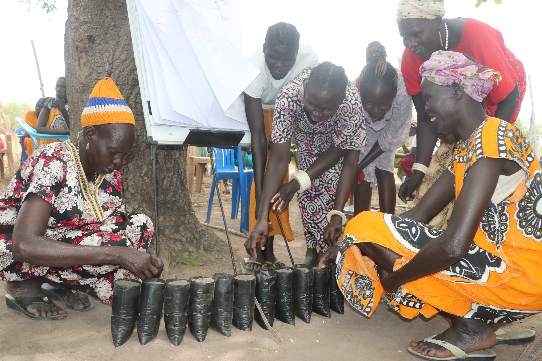 women farmers tend to their plant nursey in Cueicok, South Sudan