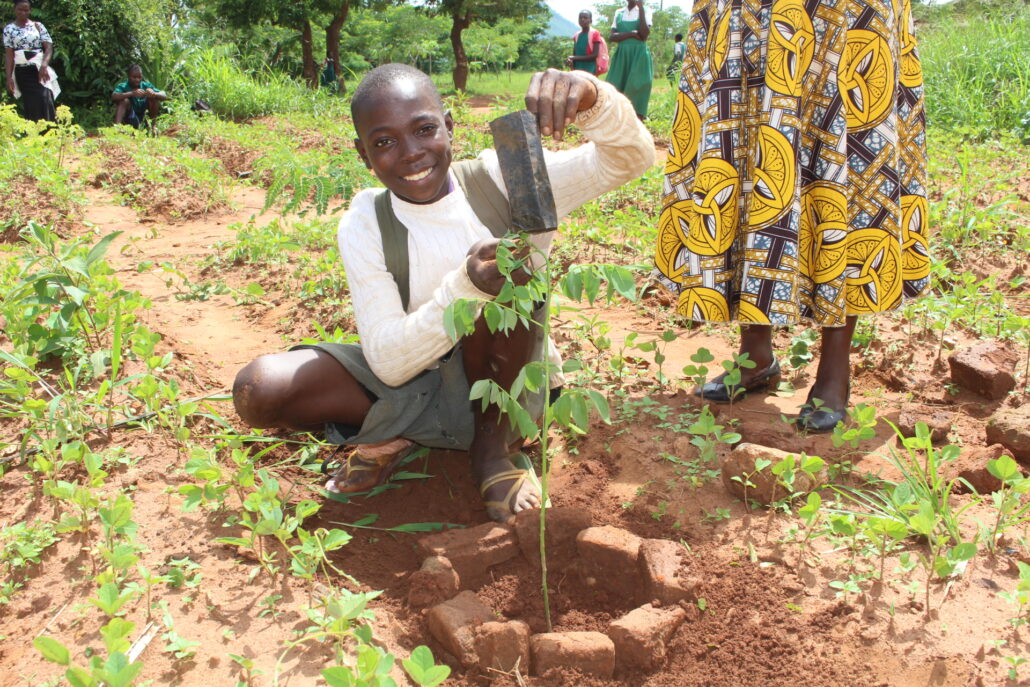 a school boy is planting a tree sampling. he is smiling at the camera